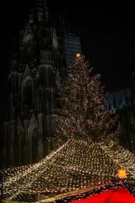 Frases de cariño en Noche Buena | Saludos de Navidad 