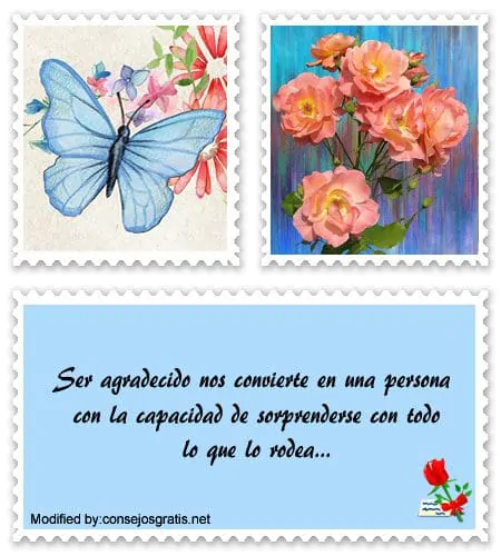 Mensajes para agradecer a alguien especial | Frases para agradecer a la  vida 